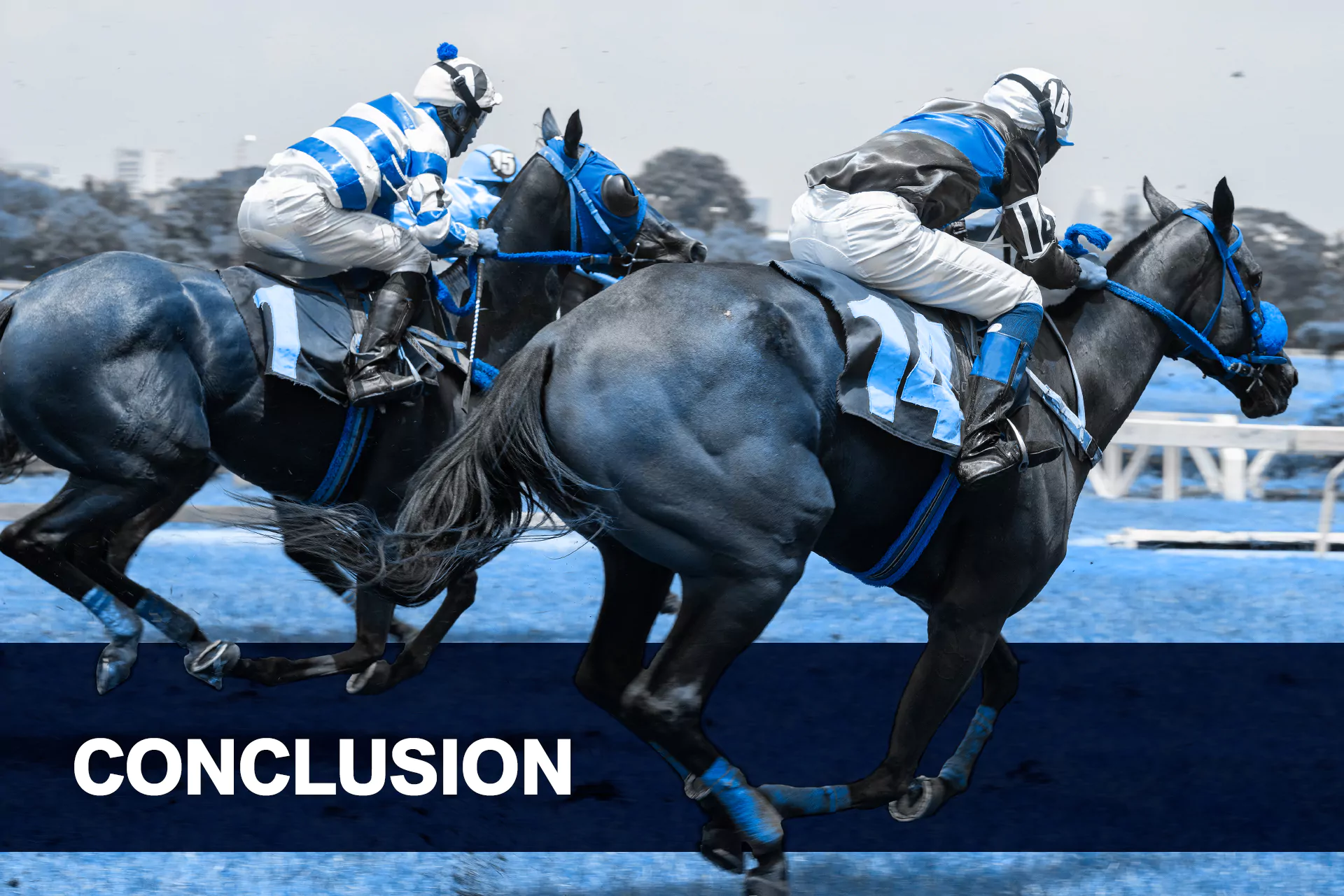 Even if you are a new user at 4rabet, you will easily learn how to bet on the horse racing events with the highest profit.